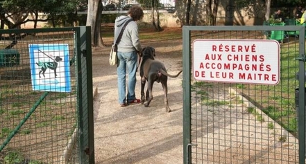 Installation d'un cani-parc, zone de jeux sécurisée pour les maîtres et leur chien