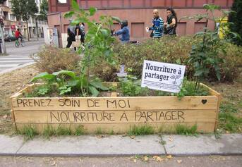 Jardinières publiques en libre accès : planter, arroser, récolter, partager ! 